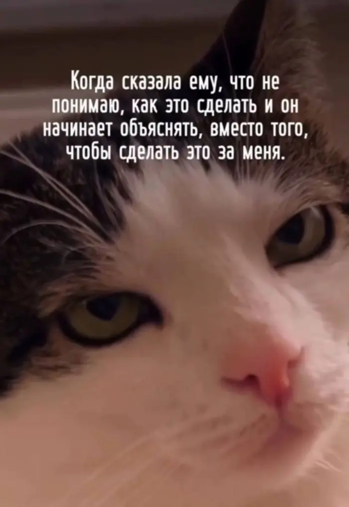 Пятничный заряд позитива: свежие мемы и шутки