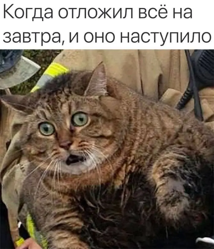 Пятничный заряд позитива: свежие мемы и шутки