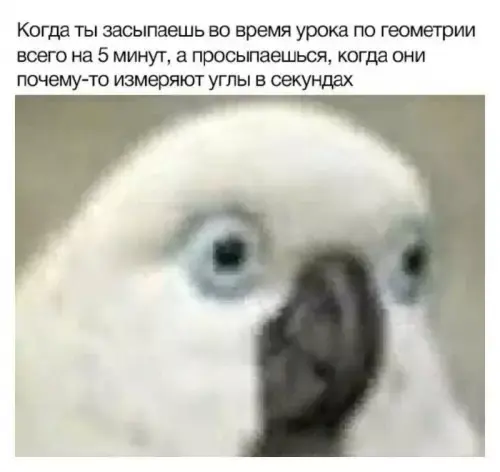 Пятничный заряд позитива: свежие мемы и шутки