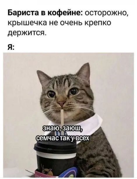 Пятничный заряд позитива: свежие мемы и шутки