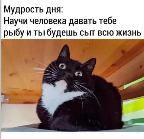 Пятничный заряд позитива: свежие мемы и шутки