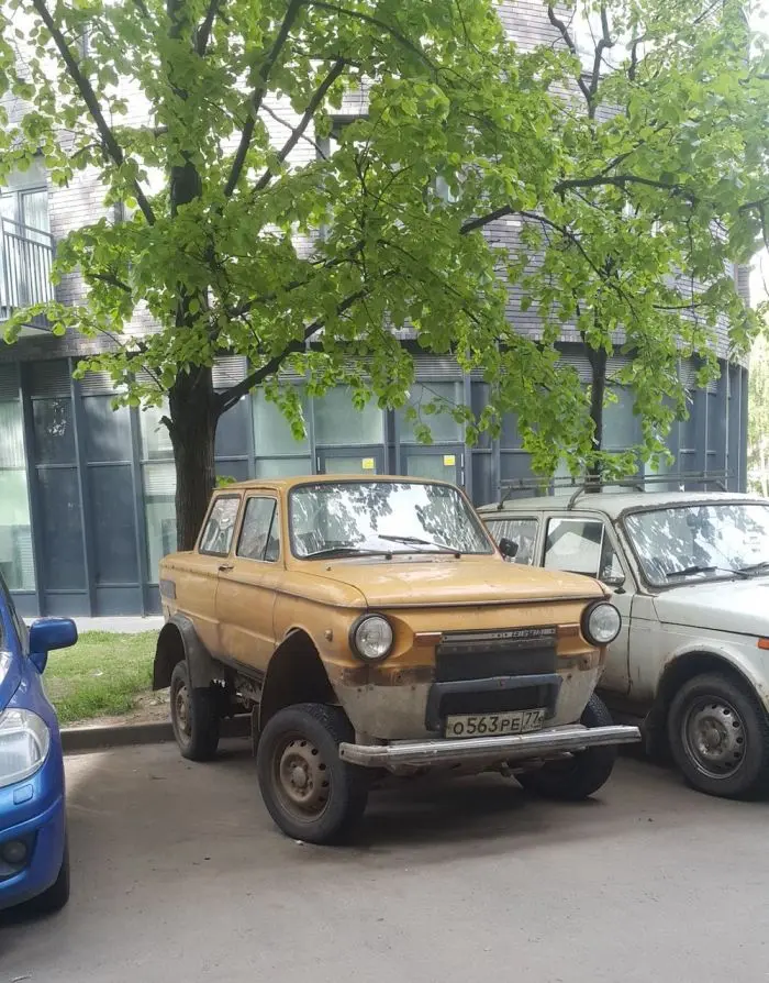 Пятничный заряд позитива: смех до слёз