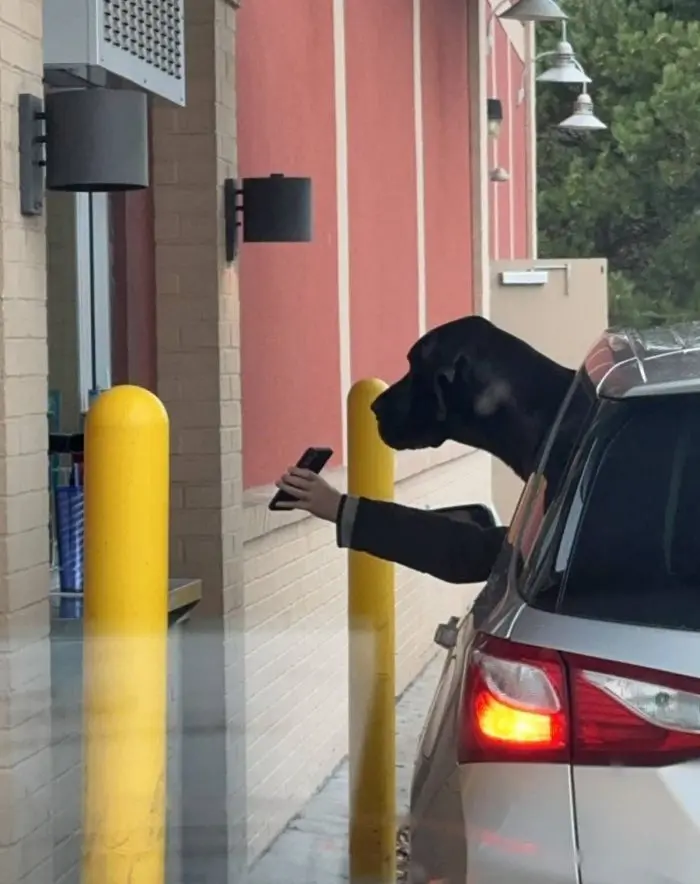 Пятничный заряд позитива: смех до слёз