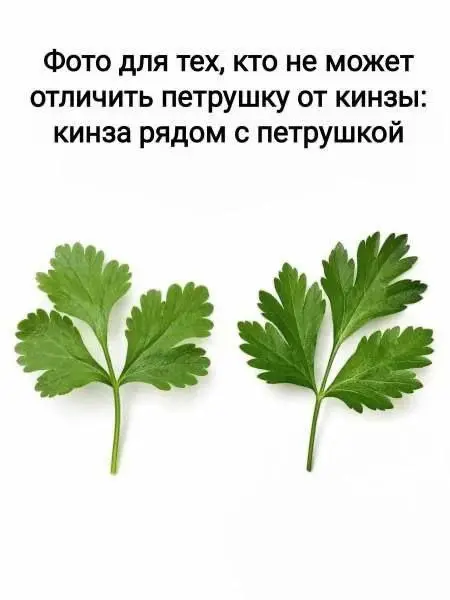 Свежая подборка смешных анекдотов и жизненных приколов