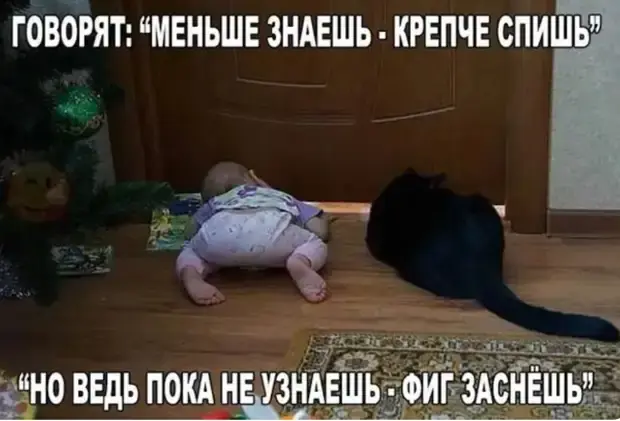 Забавные истории и анекдоты на каждый день