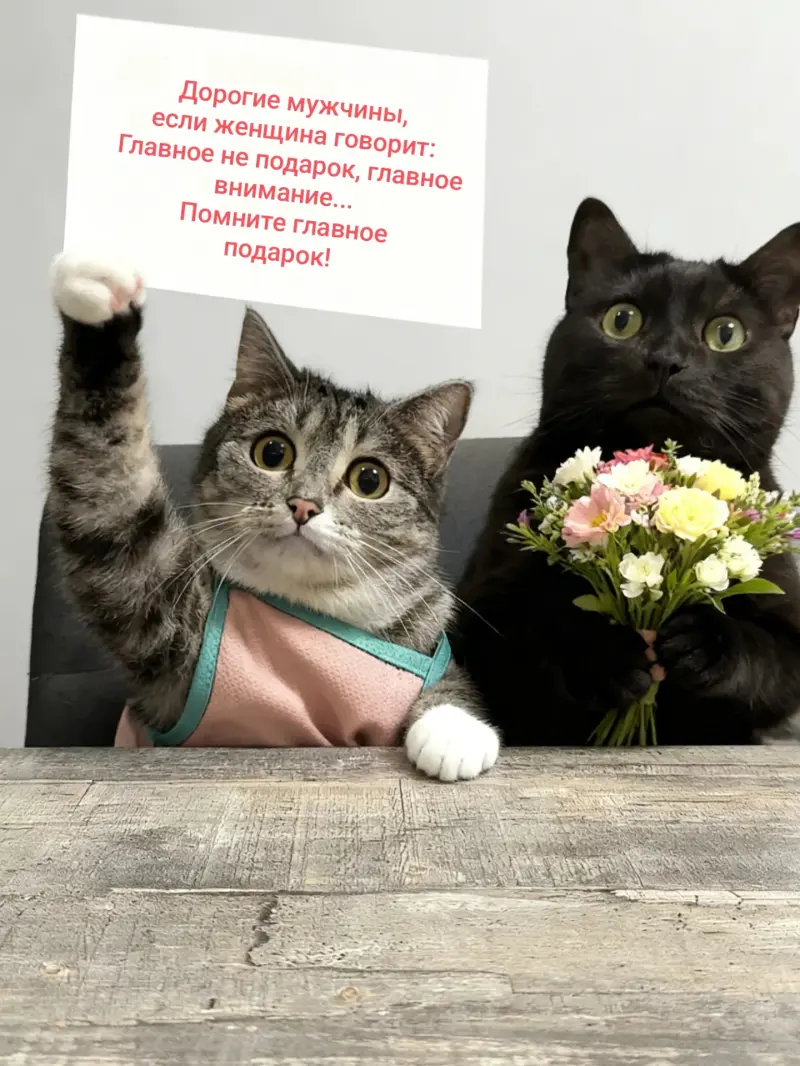 Готовые открытки для самых близких: большая подборка картинок-поздравлений