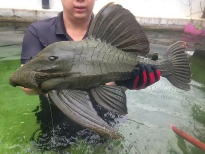 Невероятные кадры дикой природы, которые ломают стереотипы