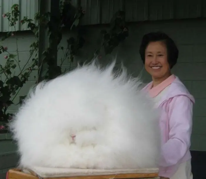 Невероятные кадры дикой природы, которые ломают стереотипы