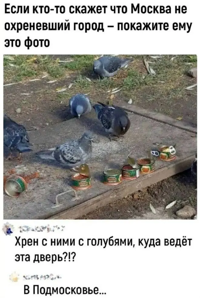 Смешные шутки и комменты из соцсетей: подборка лучшего юмора Лучшие авторские шутки и комментарии из соцсетей