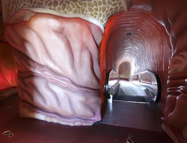 Прогулка внутри человека: как устроен голландский музей CORPUS, где посетители становятся меньше