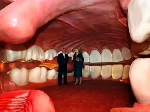 Прогулка внутри человека: как устроен голландский музей CORPUS, где посетители становятся меньше