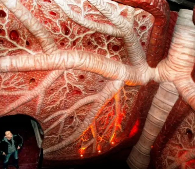 Прогулка внутри человека: как устроен голландский музей CORPUS, где посетители становятся меньше