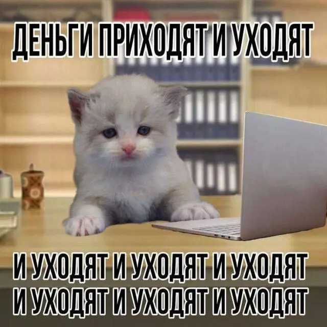 Смешные и неловкие моменты, которые лучше один раз увидеть