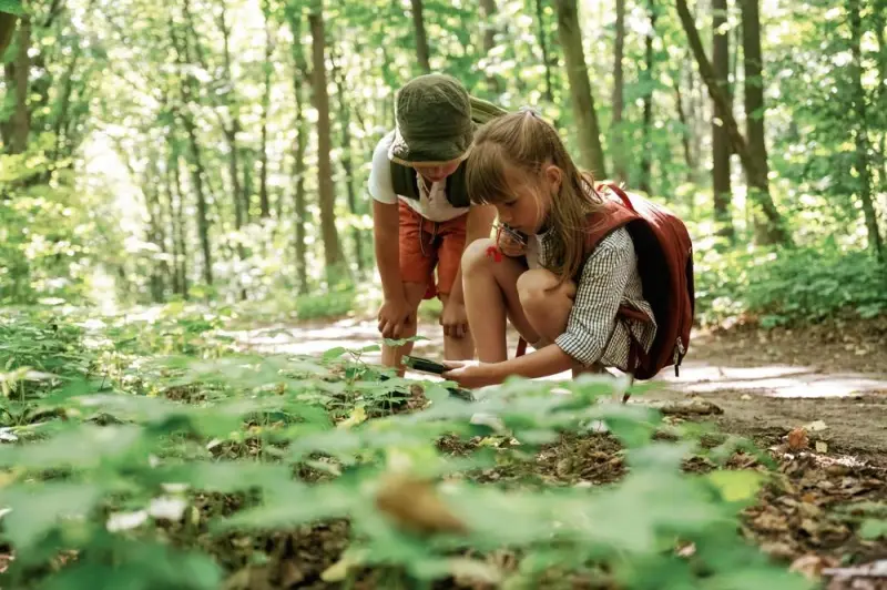 Что делать, если укусил клещ, змея или собака: пошаговая инструкция от врача