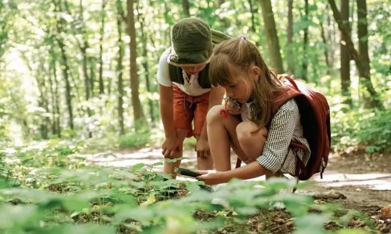 Что делать, если укусил клещ, змея или собака: пошаговая инструкция от врача