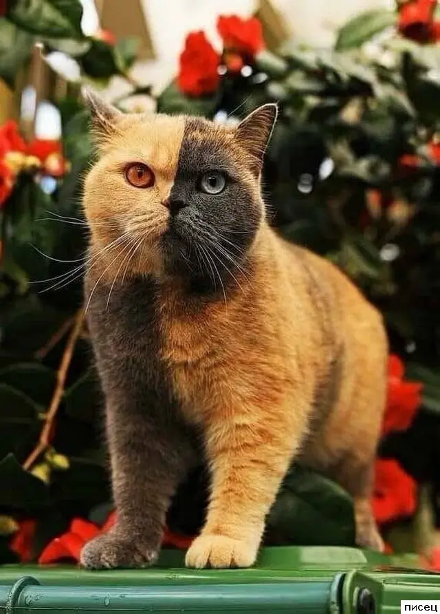 Фотографии, которые трогают до глубины души