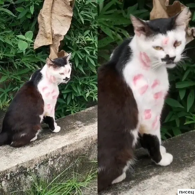 Фотографии, которые трогают до глубины души