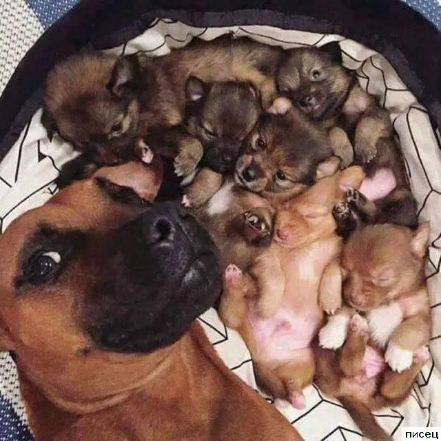 Фотографии, которые трогают до глубины души