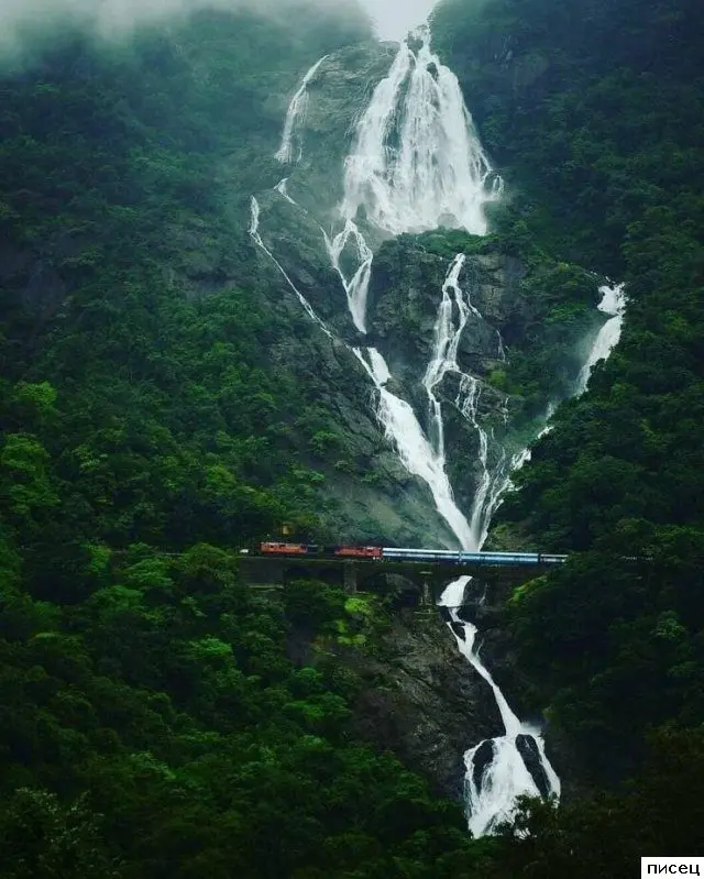 Фотографии, которые трогают до глубины души