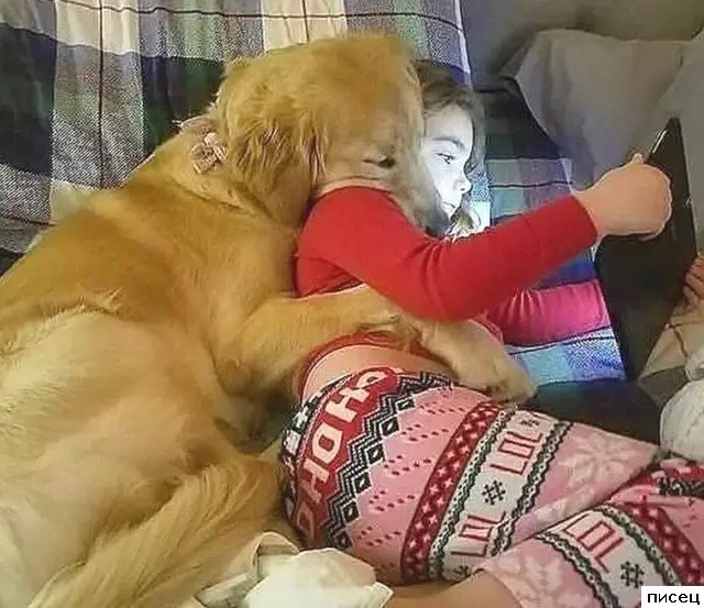 Фотографии, которые трогают до глубины души