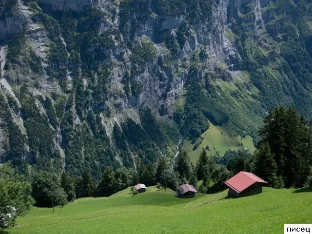 Фотографии, которые трогают до глубины души