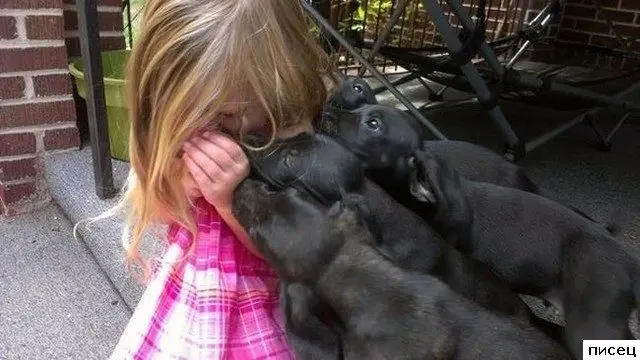 Фотографии, которые трогают до глубины души