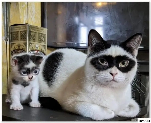 Фотографии, которые трогают до глубины души