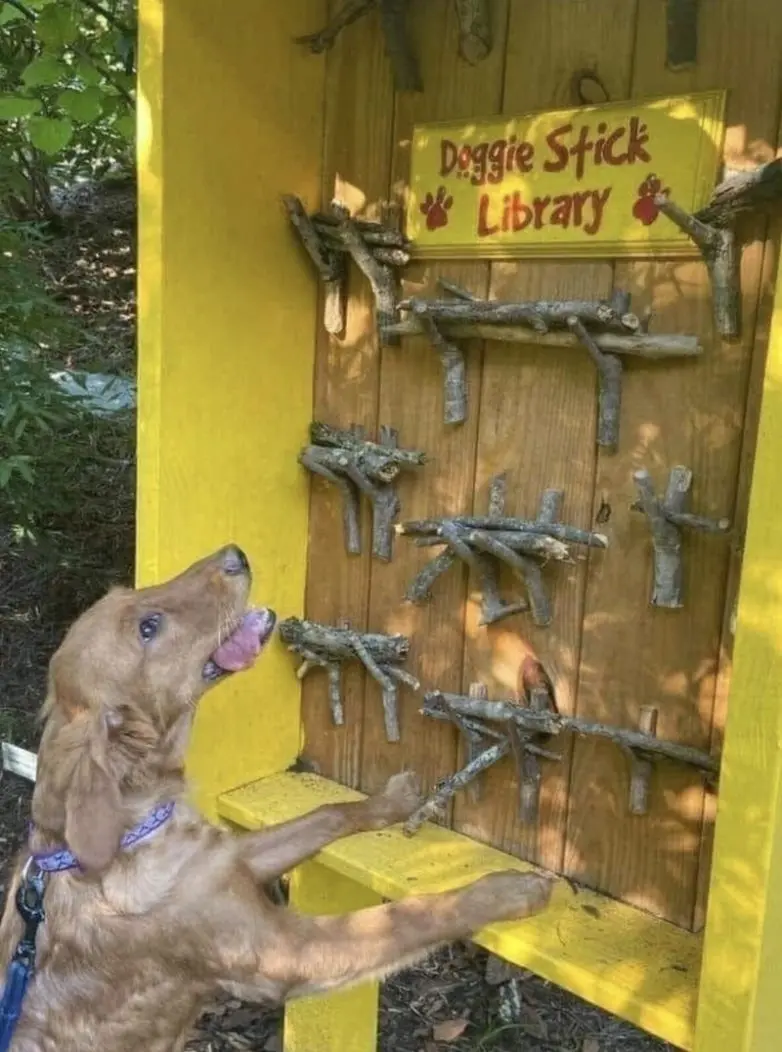 20 забавных фото животных, которые поднимут настроение