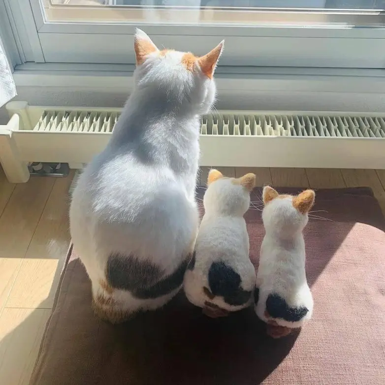 20 забавных фото животных, которые поднимут настроение