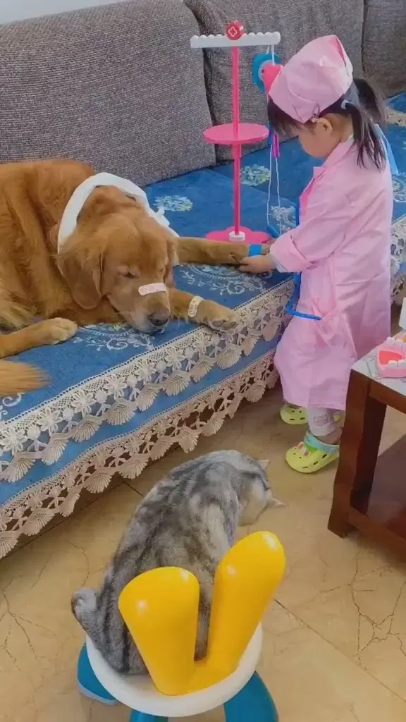 20 забавных фото животных, которые поднимут настроение