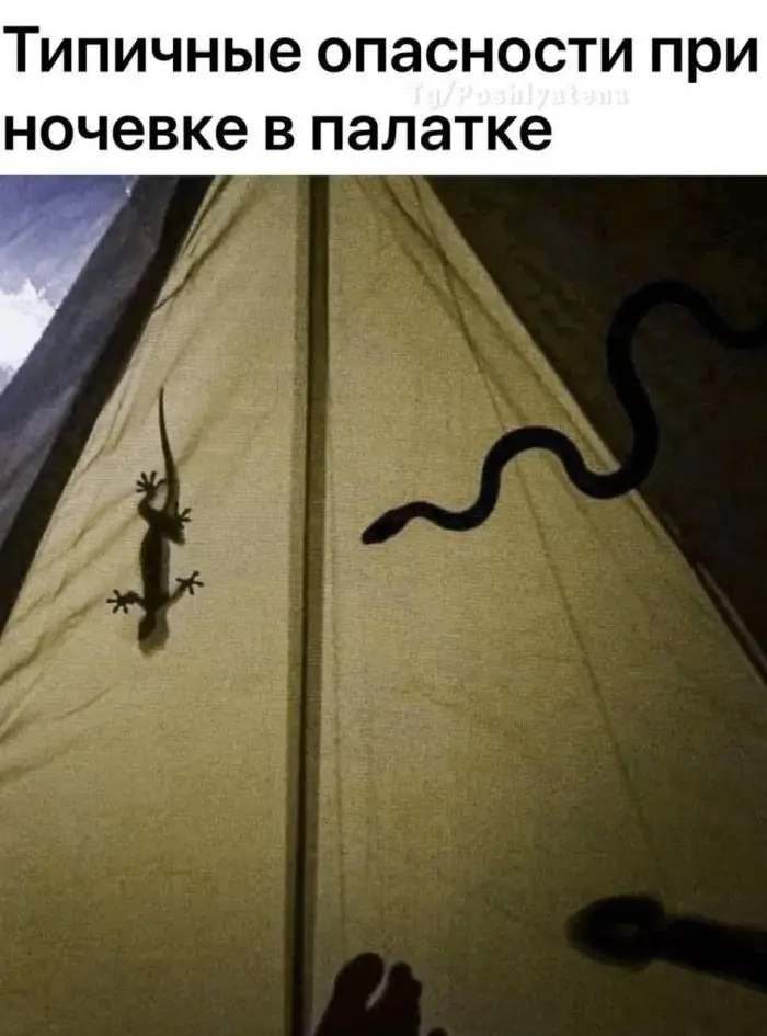 Смех до слёз: лучшие мемы и картинки для вашего настроения