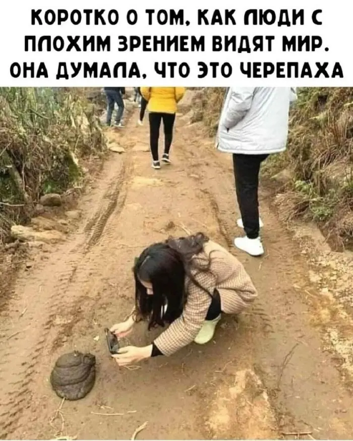 Смех до слёз: лучшие мемы и картинки для вашего настроения