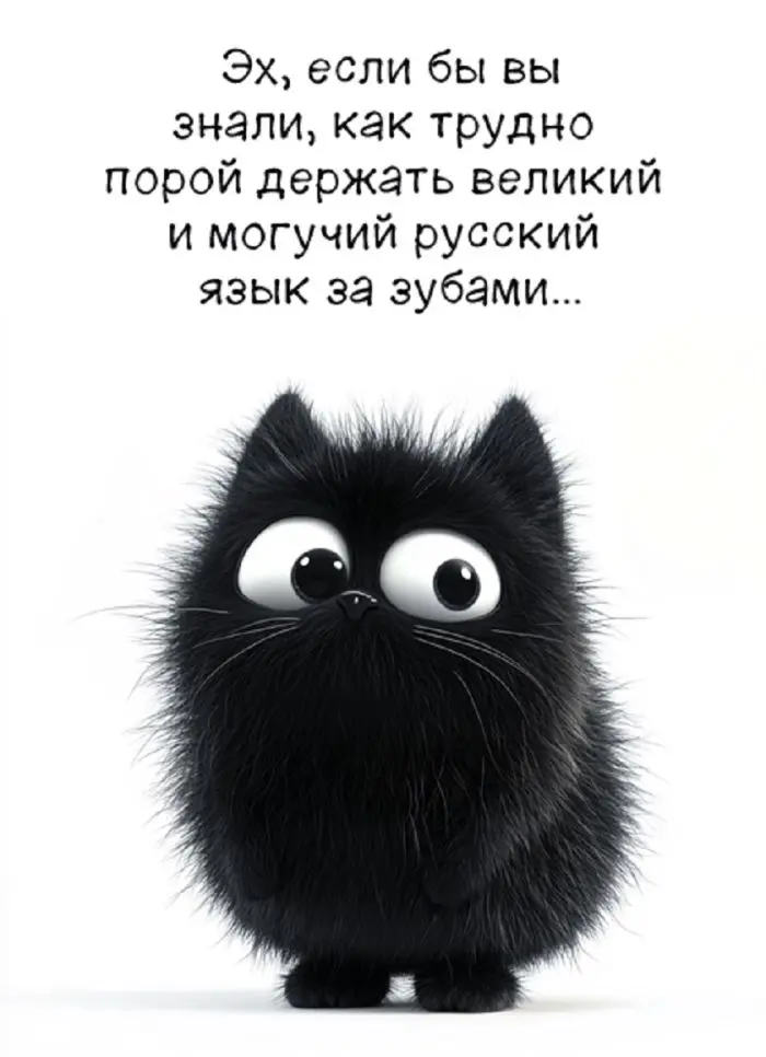 Смех до слёз: лучшие мемы и картинки для вашего настроения