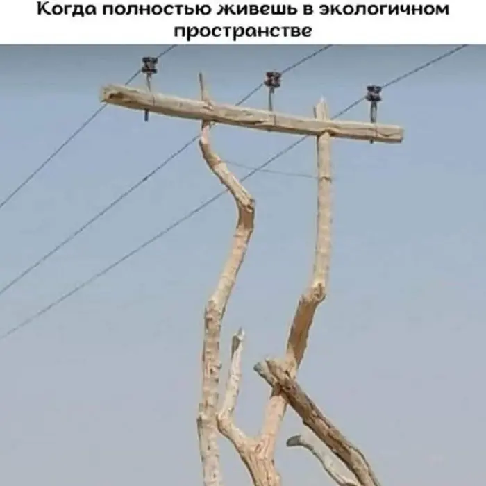 Смех до слёз: лучшие мемы и картинки для вашего настроения