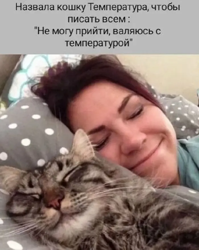 Смех до слёз: лучшие мемы и картинки для вашего настроения