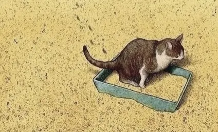 Смех сквозь новости: юмор на каждый день