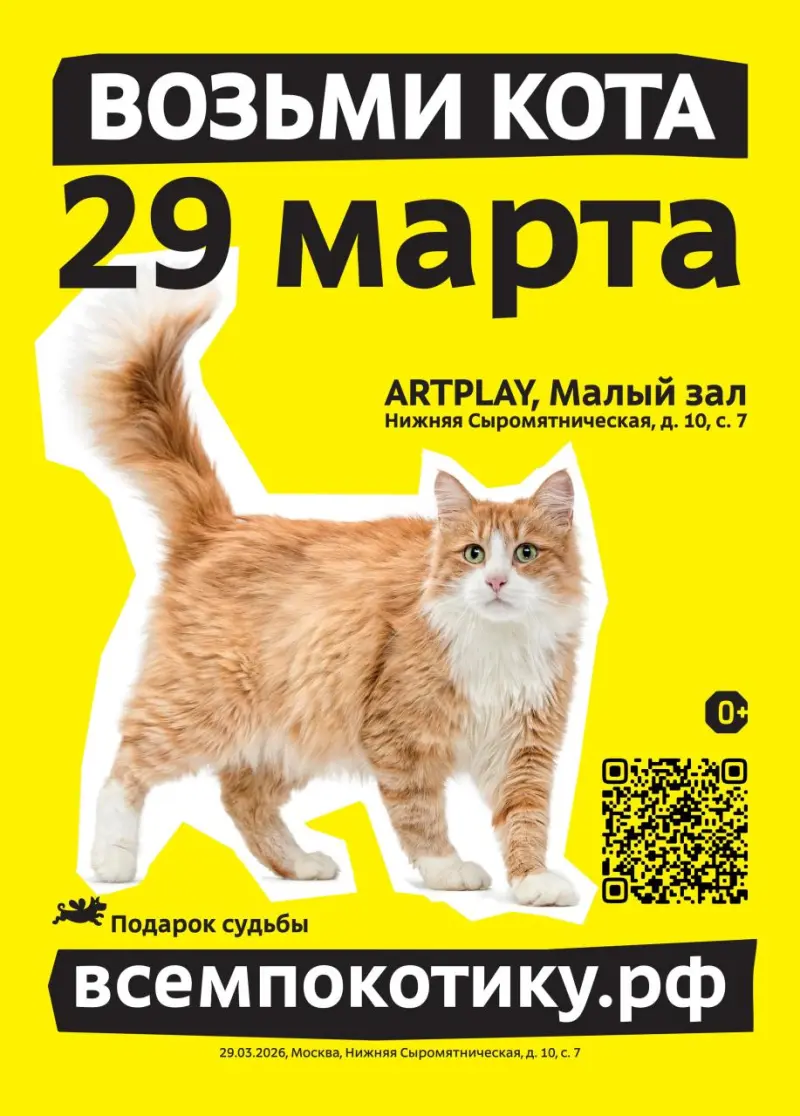 Космический кот и мебельная красавица: кто ждёт хозяев на выставке «Всем по котику»