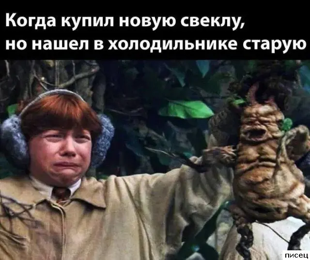 Смешные приколы Писца на тему «Когда»