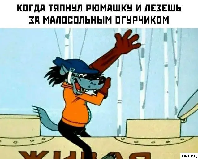 Смешные приколы Писца на тему «Когда»