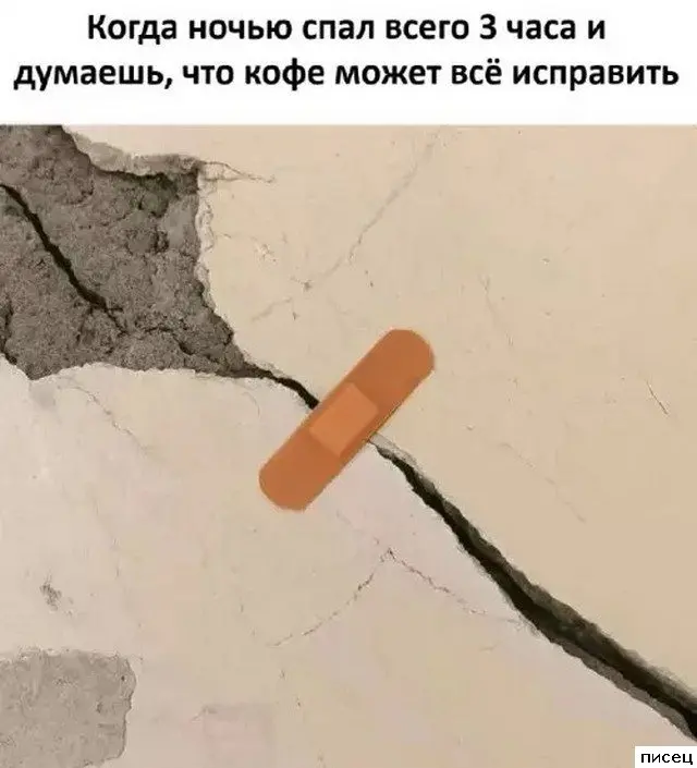 Смешные приколы Писца на тему «Когда»