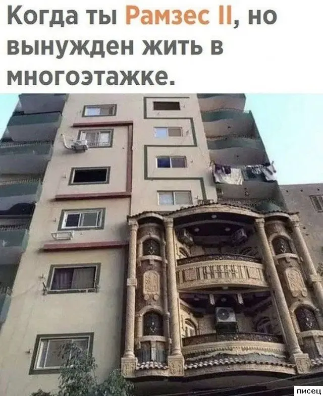 Смешные приколы Писца на тему «Когда»