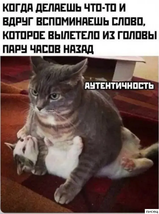 Смешные приколы Писца на тему «Когда»