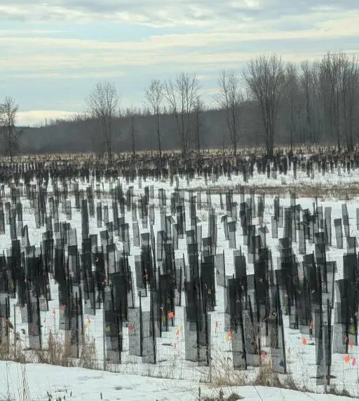 15 загадочных предметов, секреты которых раскрыл интернет