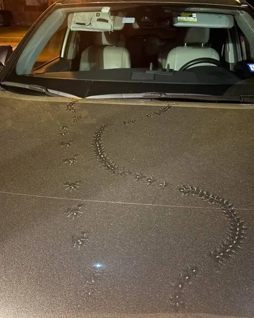 15 загадочных предметов, секреты которых раскрыл интернет