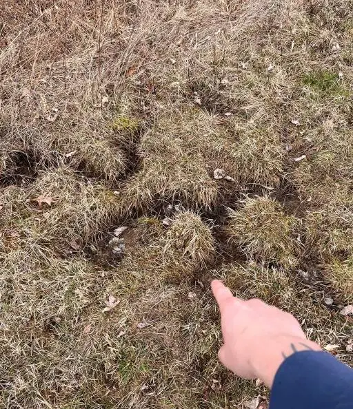 15 загадочных предметов, секреты которых раскрыл интернет