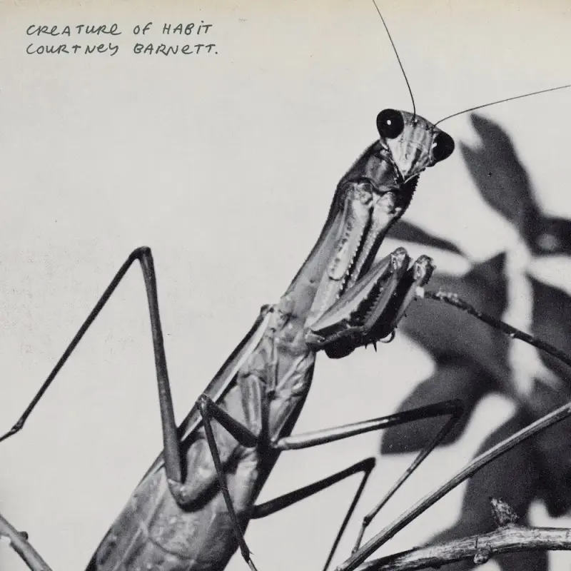 Музыкальная подборка недели: главные новинки от RAYE до Snail Mail