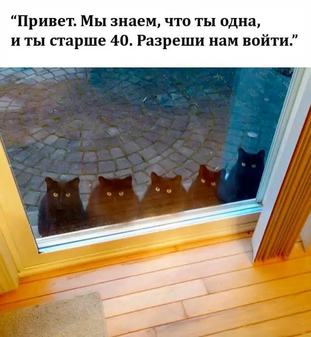 Абсурдный юмор: шутки, которые живут сами по себе