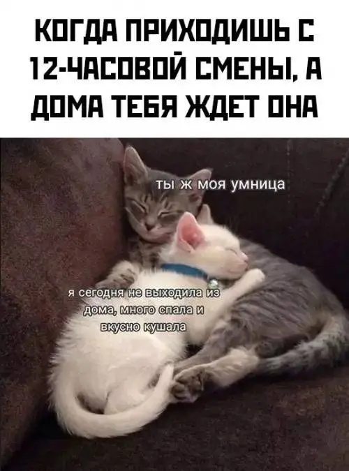 Абсурдный юмор: шутки, которые живут сами по себе