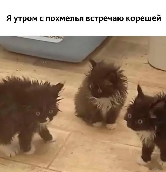 Абсурдный юмор: шутки, которые живут сами по себе