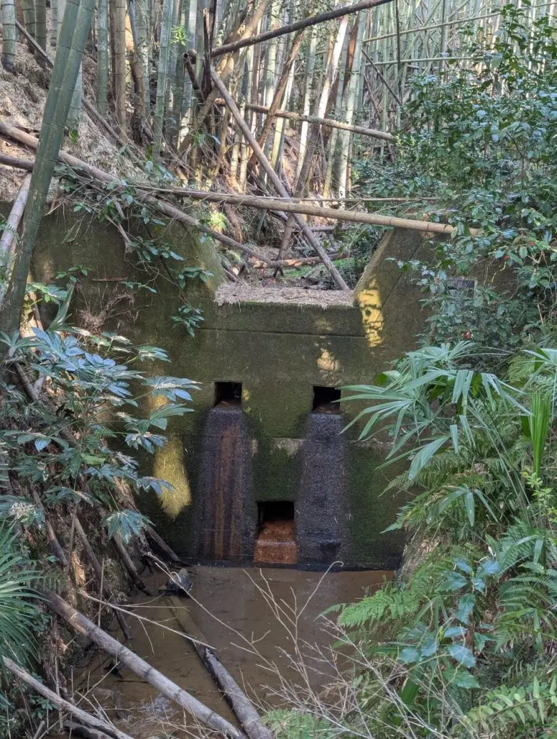 Ожившие предметы: когда обычные вещи смотрят на вас